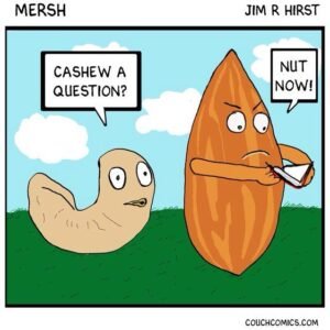 Nut Puns Jokes Crack Up With Top Nutty One Liners The Funny Puns