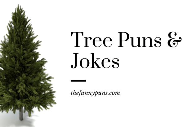 Tree Puns & Jokes That Will Leaf You Laughing!