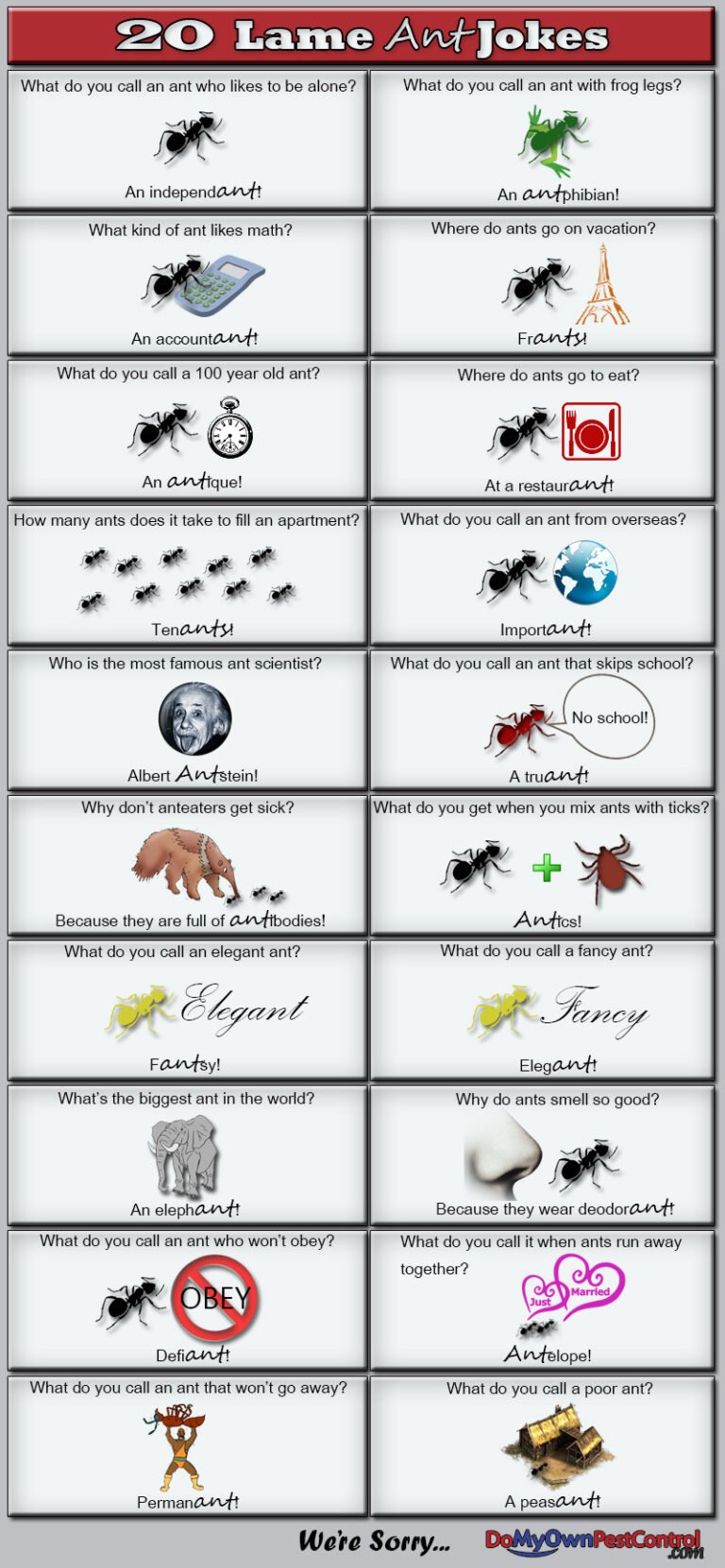 Ant Puns