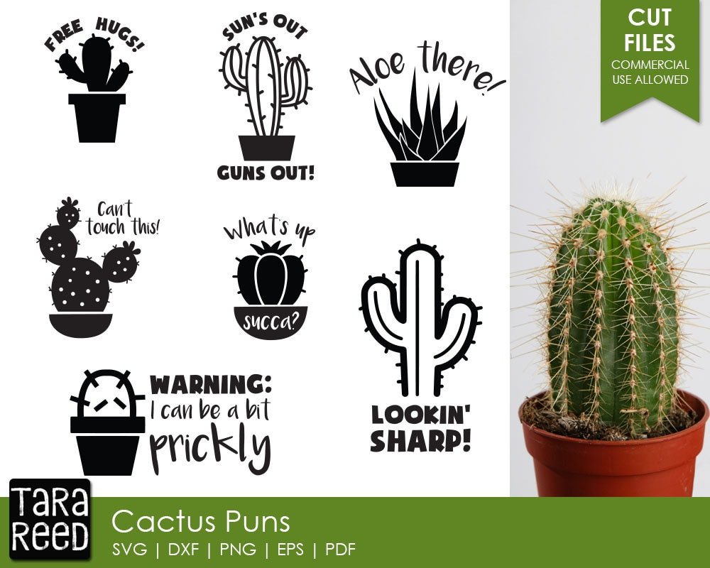 Cactus Puns