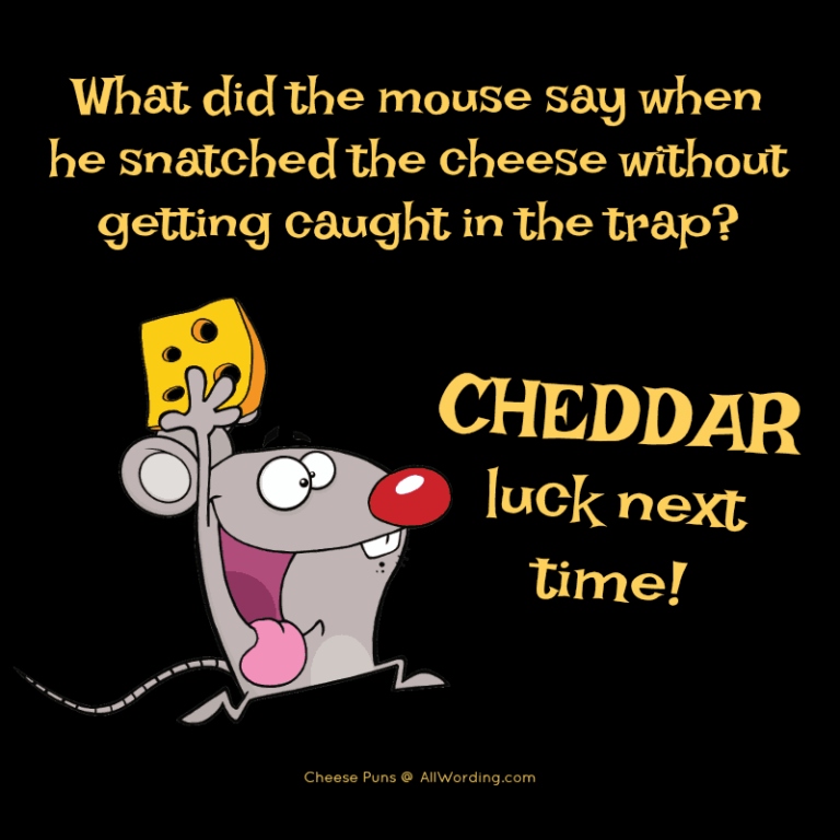 Cheese/Mouse Puns