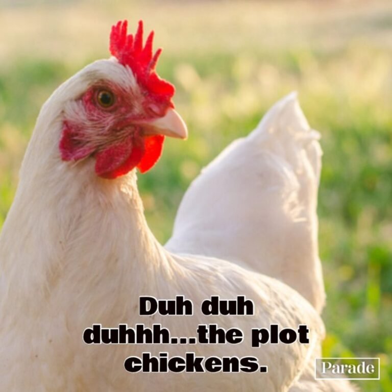 Chicken Puns