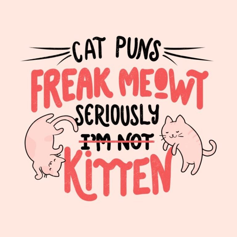 Kitten Puns