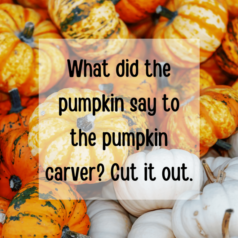 Pumpkin Puns