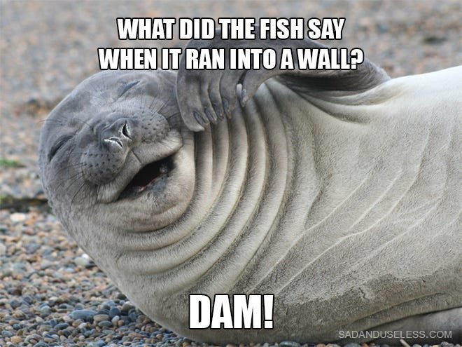 Seal Jokes