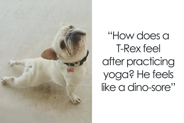 Yoga Puns & Jokes