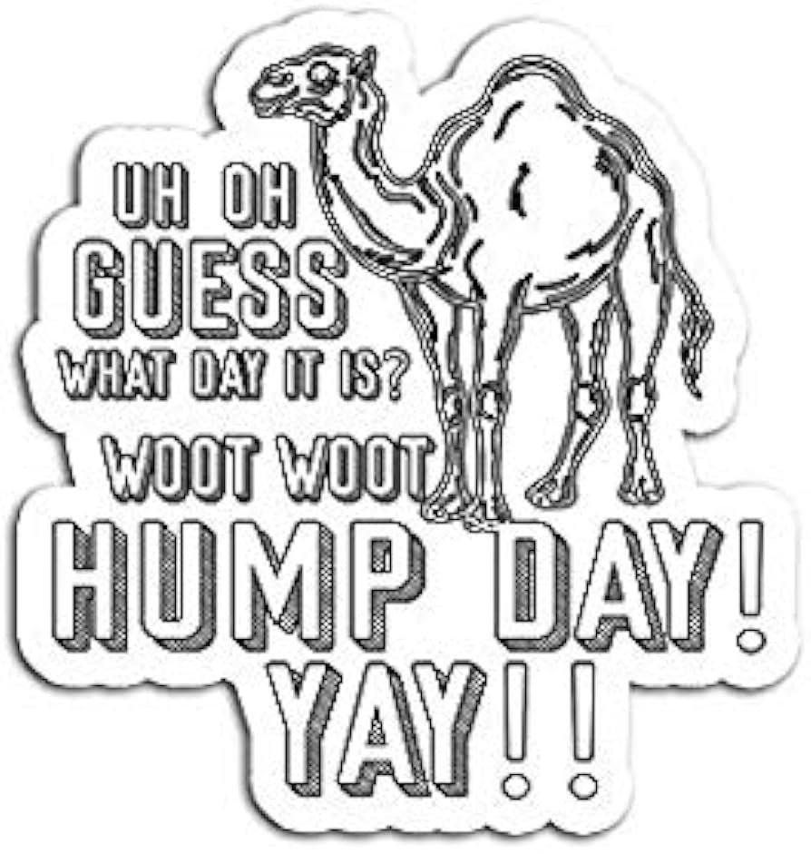 Camel Jokes & Puns: Laugh Your Humps Off Today! - The Funny Puns