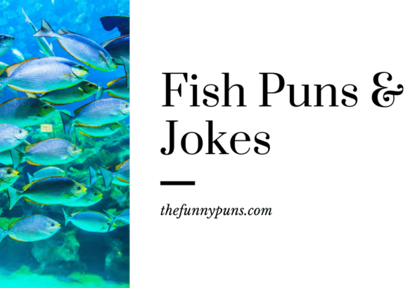 65+ Fish Puns: Reel in the Fun with These Fin-tastic Wordplays!