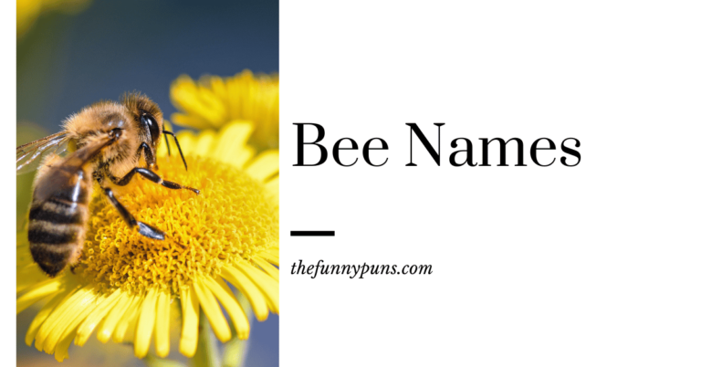 Bee Names