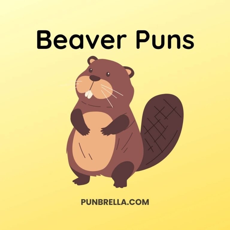 Beaver Jokes