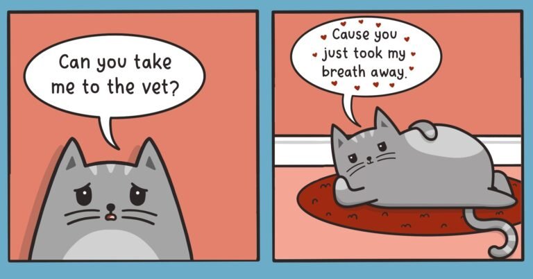 Cat Valentines Puns