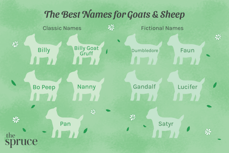 Goat Names