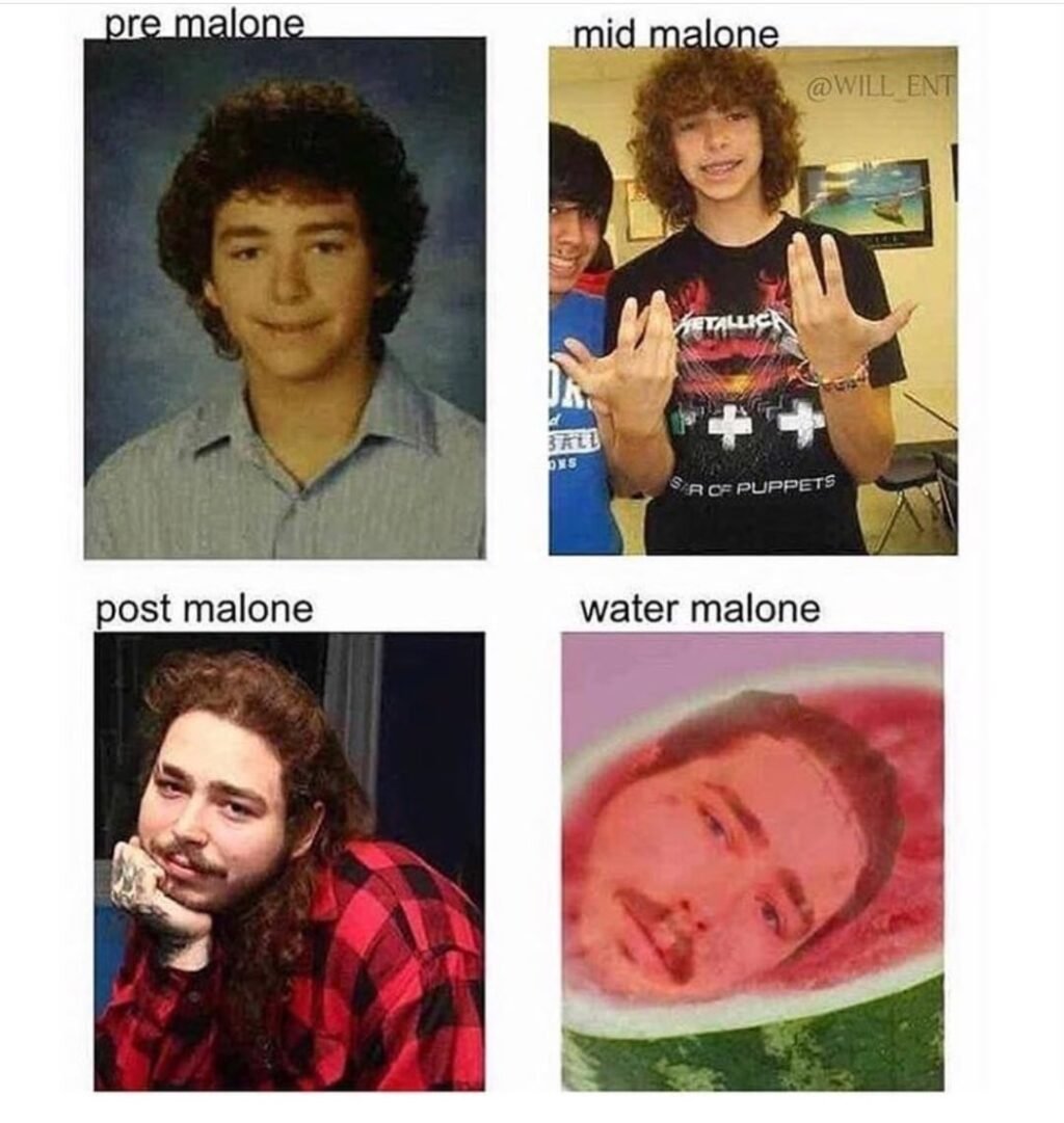 Post Malone Puns