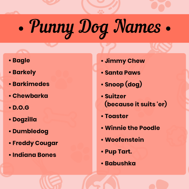 Punny Dog Names