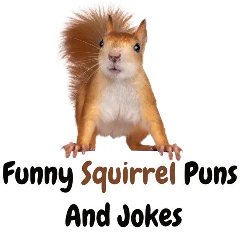 Squirrel Puns