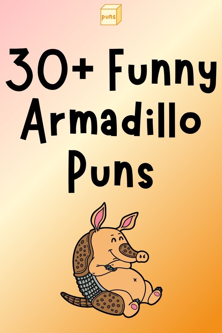 Armadillo Puns