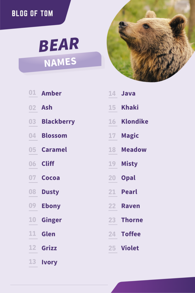 Bear Pun Names