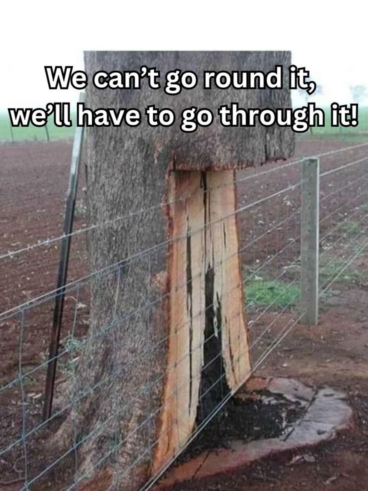 Chainsaw Jokes