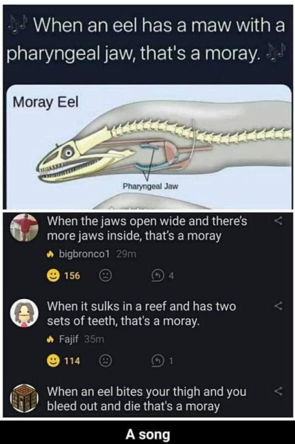 Eel Puns