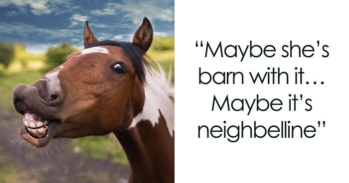 Horse Puns Captions