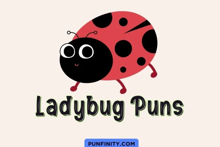 Ladybug Puns