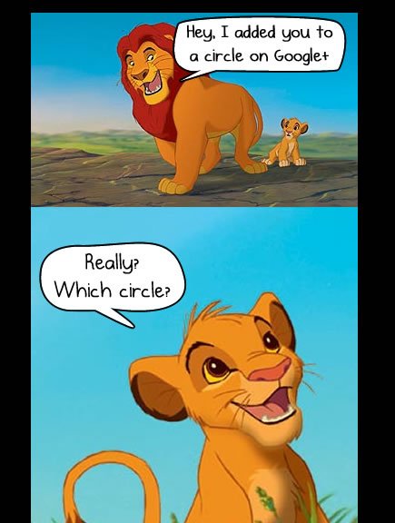 Lion King Jokes