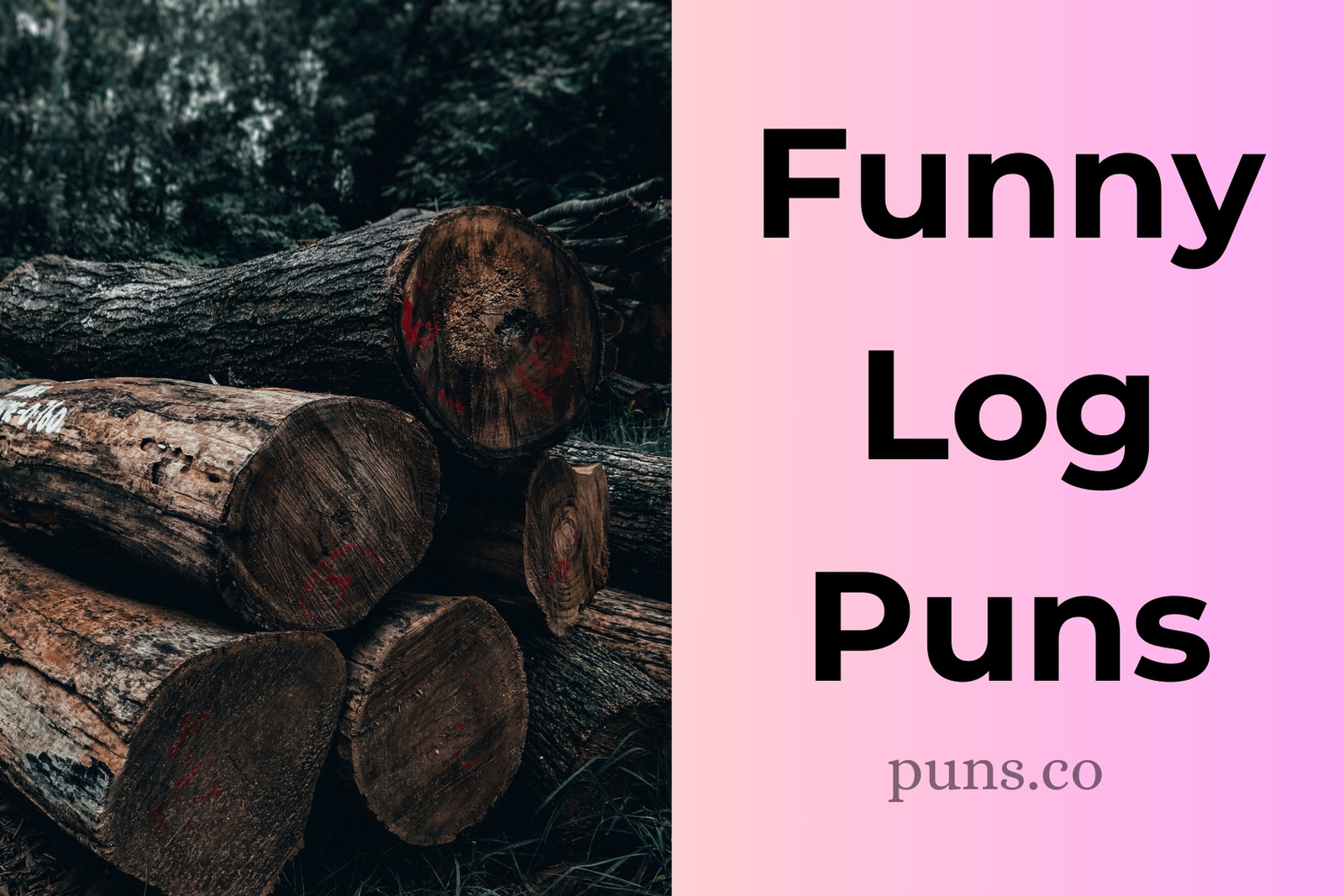 Log Puns: Timber-rific Jokes to Make You Laugh