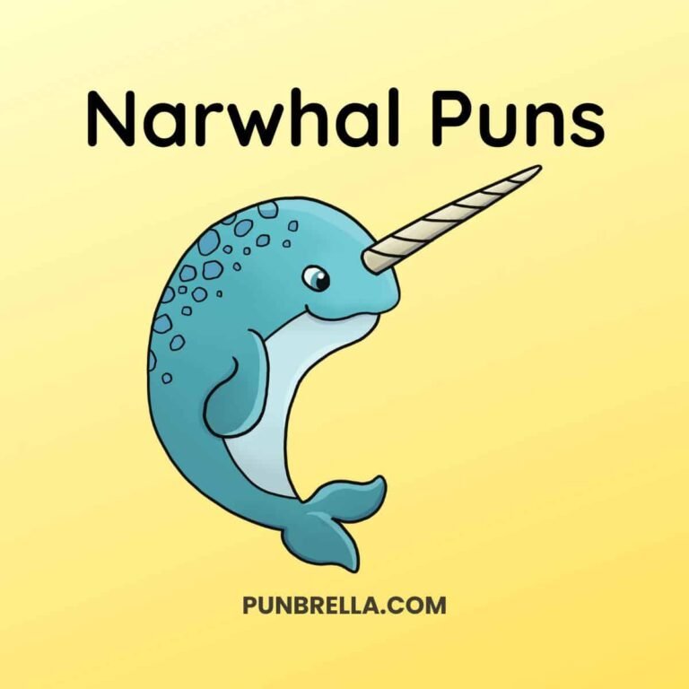 Narwhal Jokes