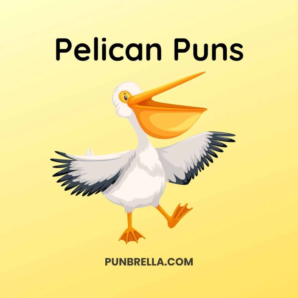 Pelican Jokes: Hilarious Bird Humor to Make You Laugh - The Funny Puns