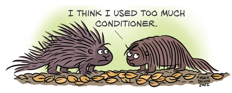 Porcupine Jokes