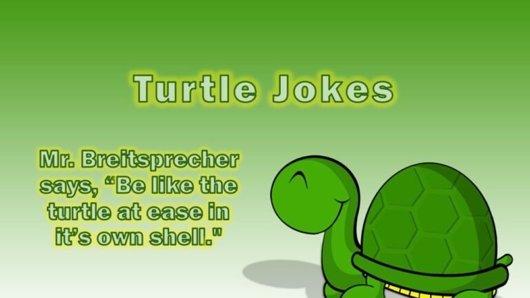 Turtle Jokes