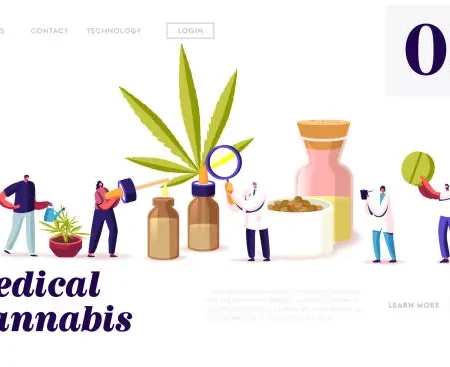 Key Factors to Consider When Choosing Medical Cannabis Products
