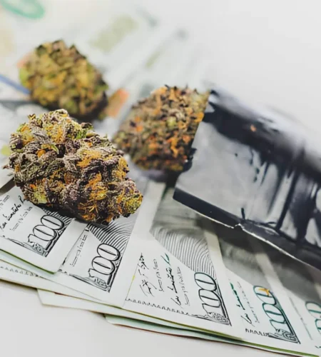 Affordable Cannabis Deals for Flower, Concentrates, and Accessories